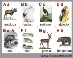 Karty z al­fa­be­tem do na­uki literek